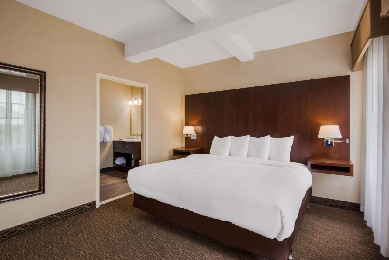 King Suite Roll Shower Sofa Bed Kitchenette Disability Access or Non-Smoking,1362559475:JPEG